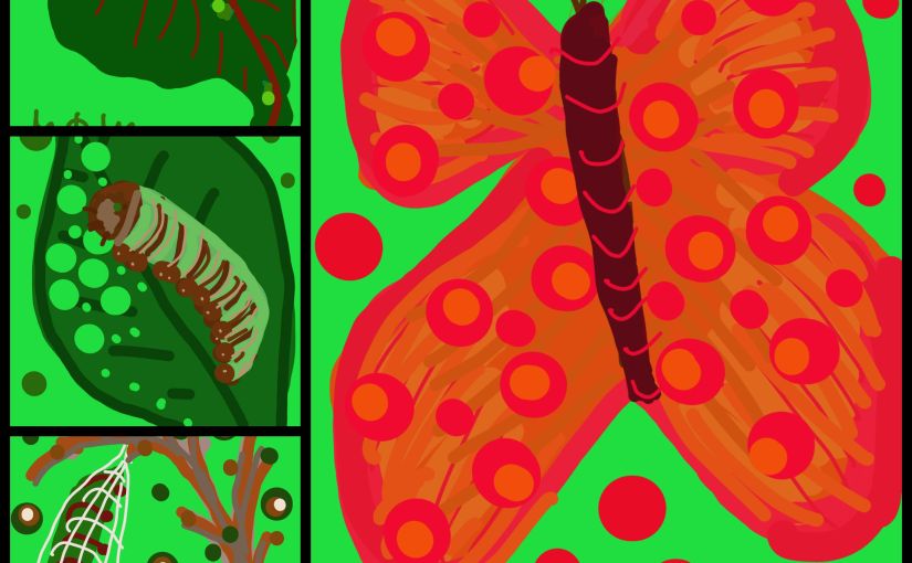 Was war zuerst da: Das Ei oder der&nbsp;Schmetterling?