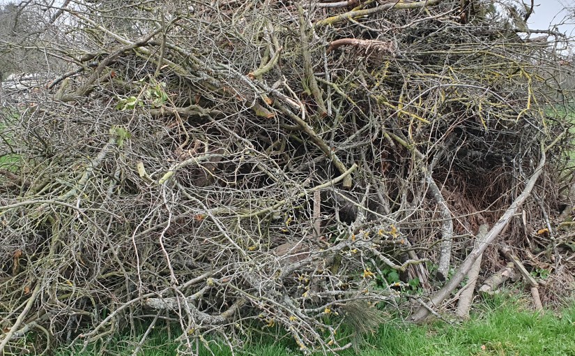 Glück im Augenblick