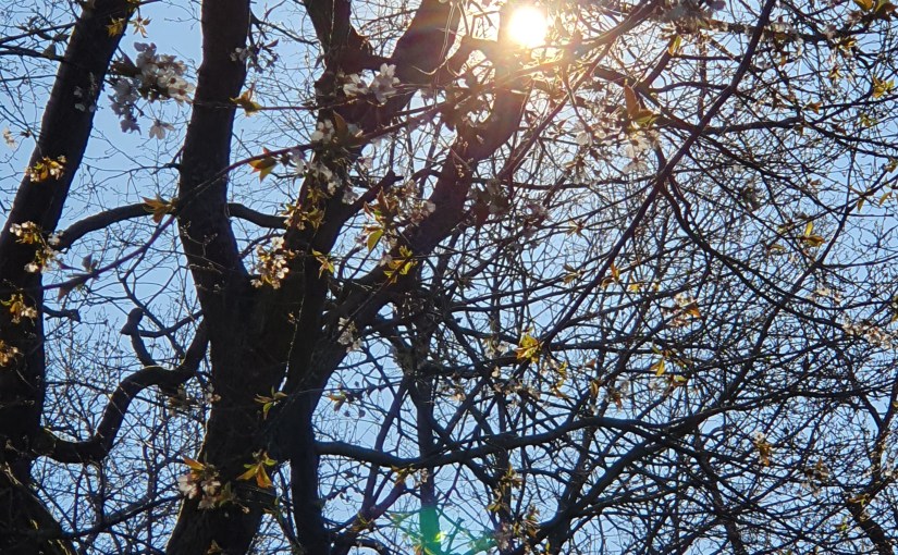 Unserer Natur entsprechend