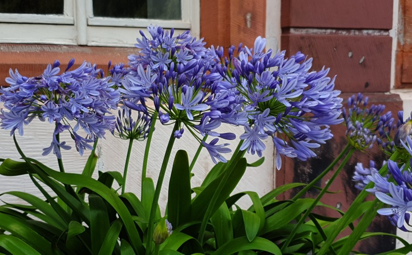 Rundreise 2. Etappe: Thüringer&nbsp;Wald