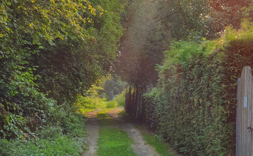 Komm‘ mit und&nbsp;staune!