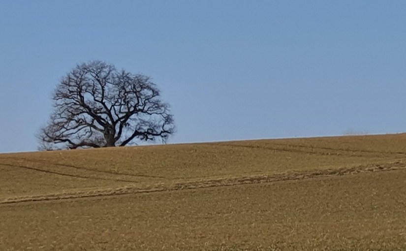 Mit Rusty unterwegs in&nbsp;Maintal
