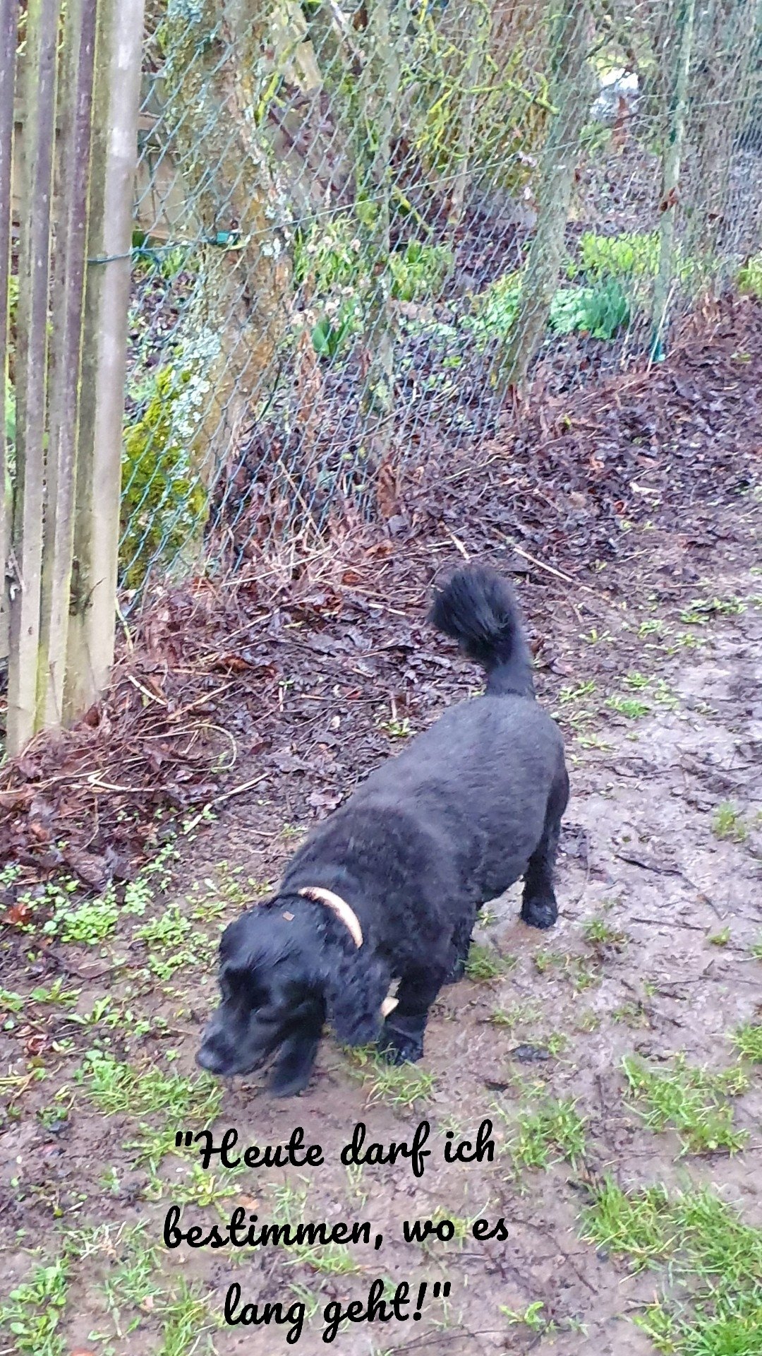 "Heute darf ich bestimmen, wo es lang geht!"