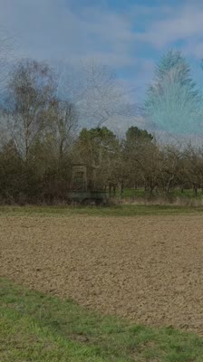 wp_story1616920934174_0.mp4