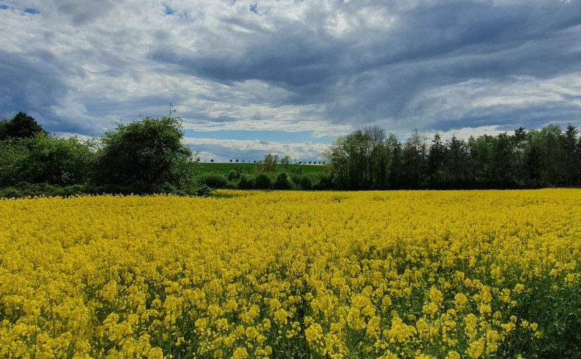 Die goldene Wetterau – neue&nbsp;Perspektiven