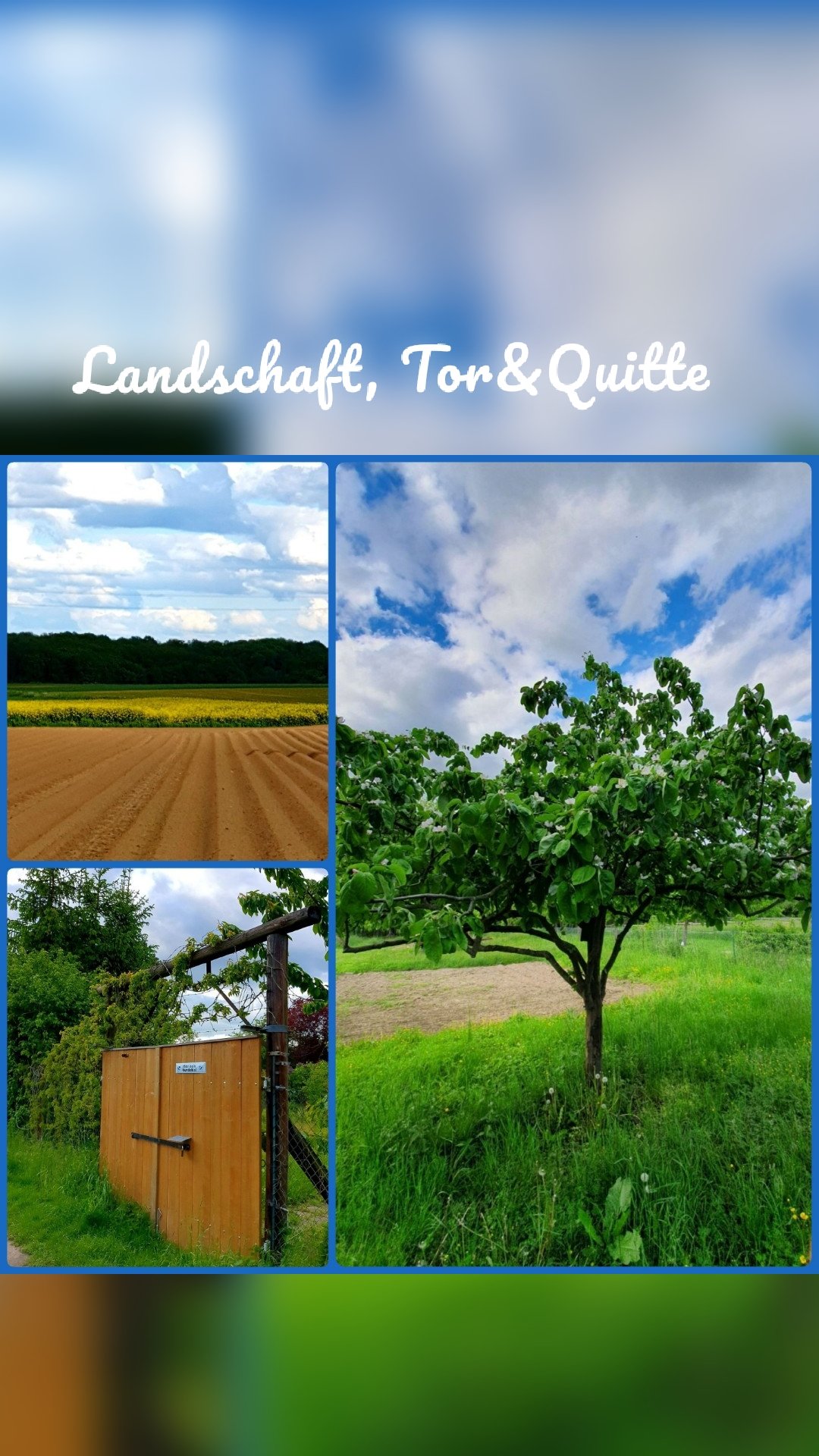 Landschaft, Tor&Quitte