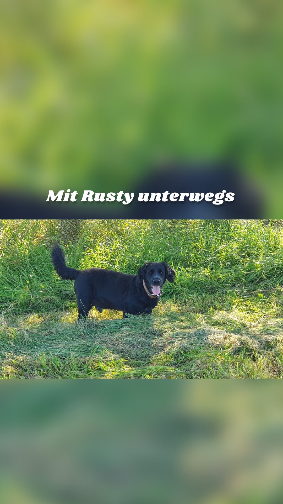 Mit Rusty unterwegs
