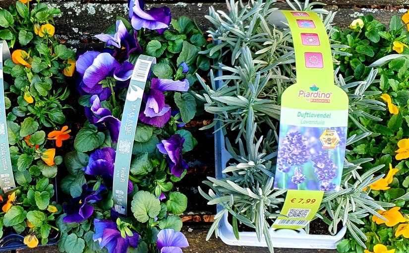 Gartensaison vorbereiten