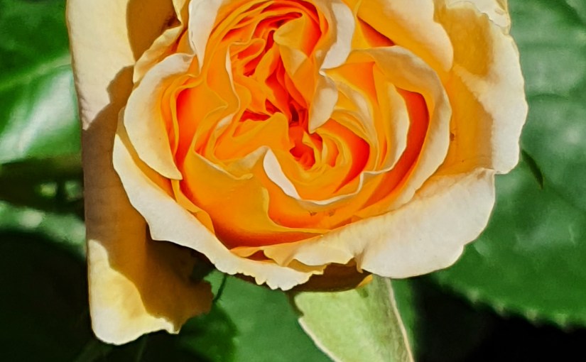 Mal eben im&nbsp;Garten