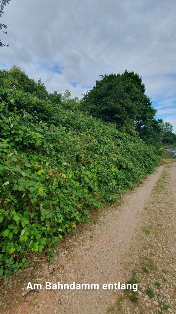 Am Bahndamm entlang