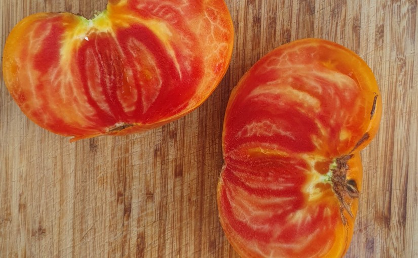 Tomaten  (Solanum lycopersicum)&nbsp;verarbeiten